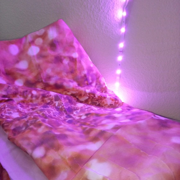 Backdrop - Picture 6 of 8